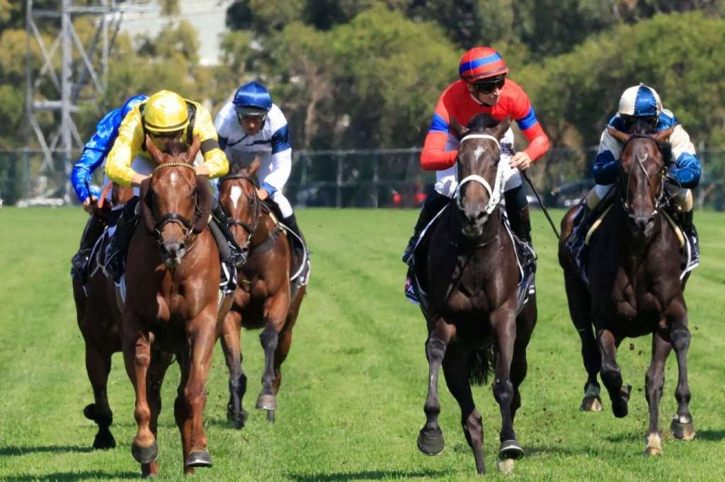 問答測試版部份結果