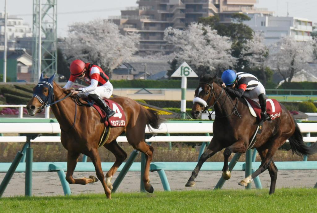 日經賞，瑪蓮必勝再讓機伶金花做二奶