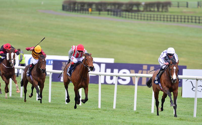 每日賽馬晚報（2021年3月29日），馬會希望八匹日本馬來港參戰，波爾明今年首戰輕鬆贏馬