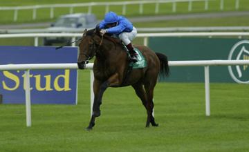 歷史名駒系列，杜拜千禧之死總有後路之杜拜威