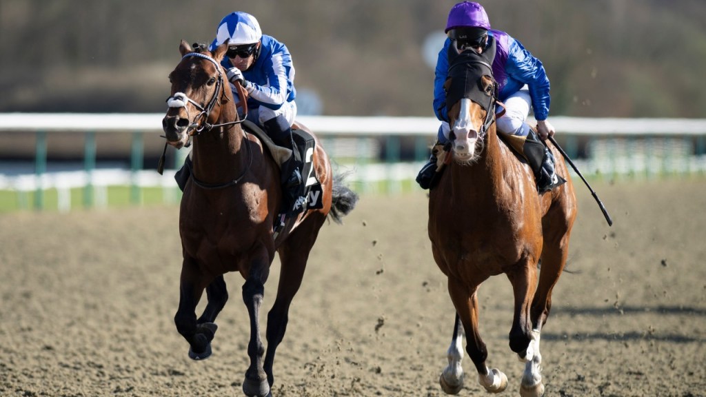 每日賽馬晚報(2021年4月3日),巴特殊因傷或影響復出進度,曼谷市成英國膠沙地王