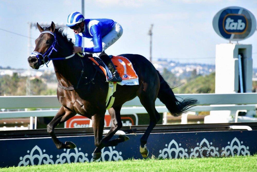 南非三冠及雌馬三冠週六同日見證