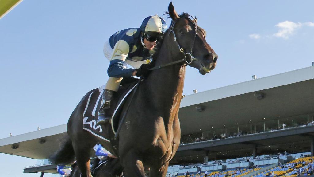 鄧格錦標，龍子爵仍能在正常場地發揮！