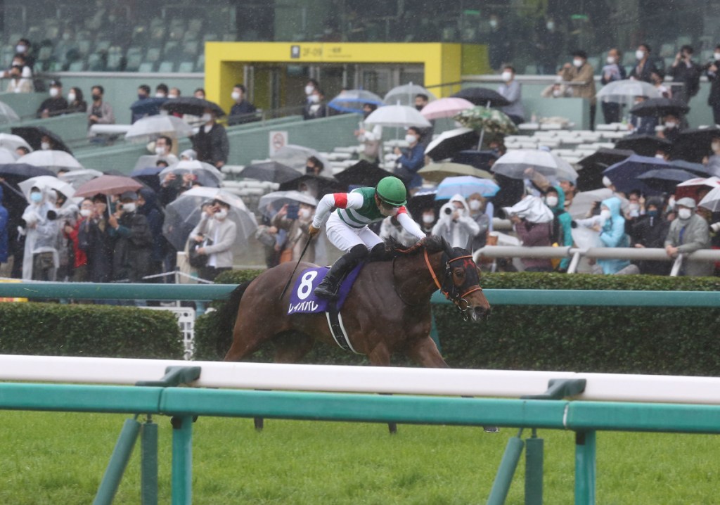 2021年6月27日阪神競馬場寶塚紀念賽賽馬日推介