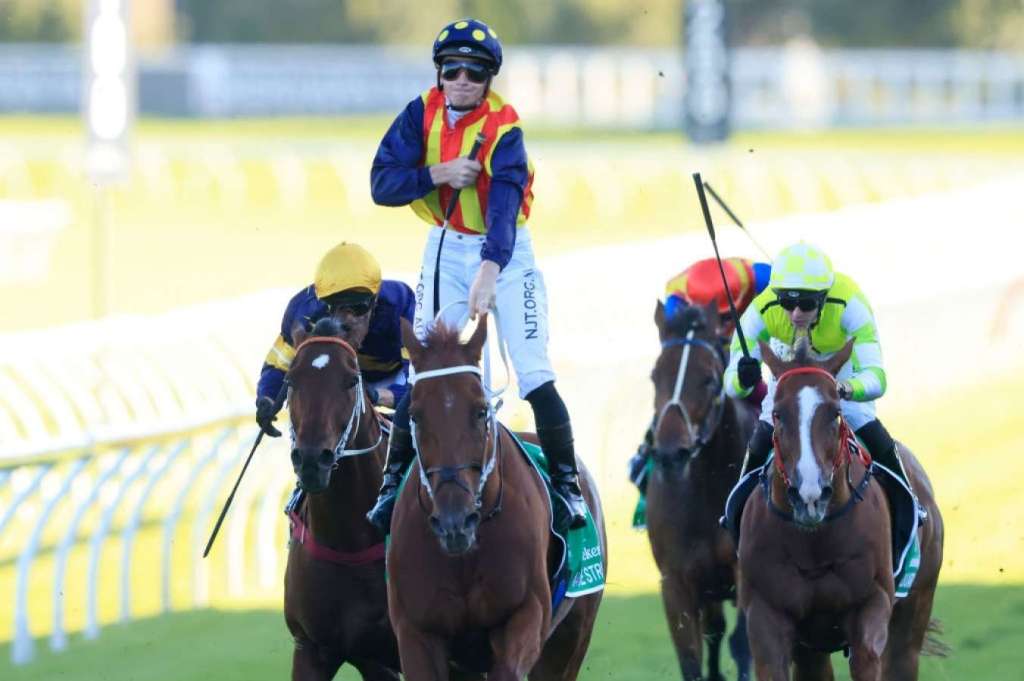 史密夫錦標，綠化帶證自己才是短途王