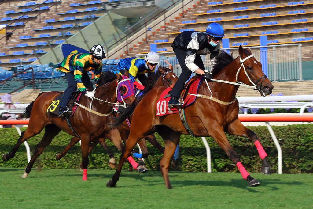 每日賽馬晚報（2021年4月13日），Satono Reinas隱晦指角逐東京賽事，告東尼埋怨其他馬匹避戰女皇盃