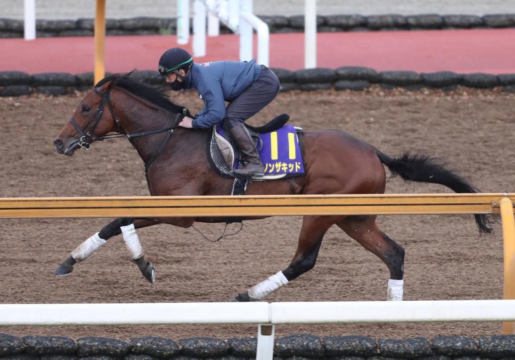 香港賽馬會首次公佈香港國際賽事邀請名單