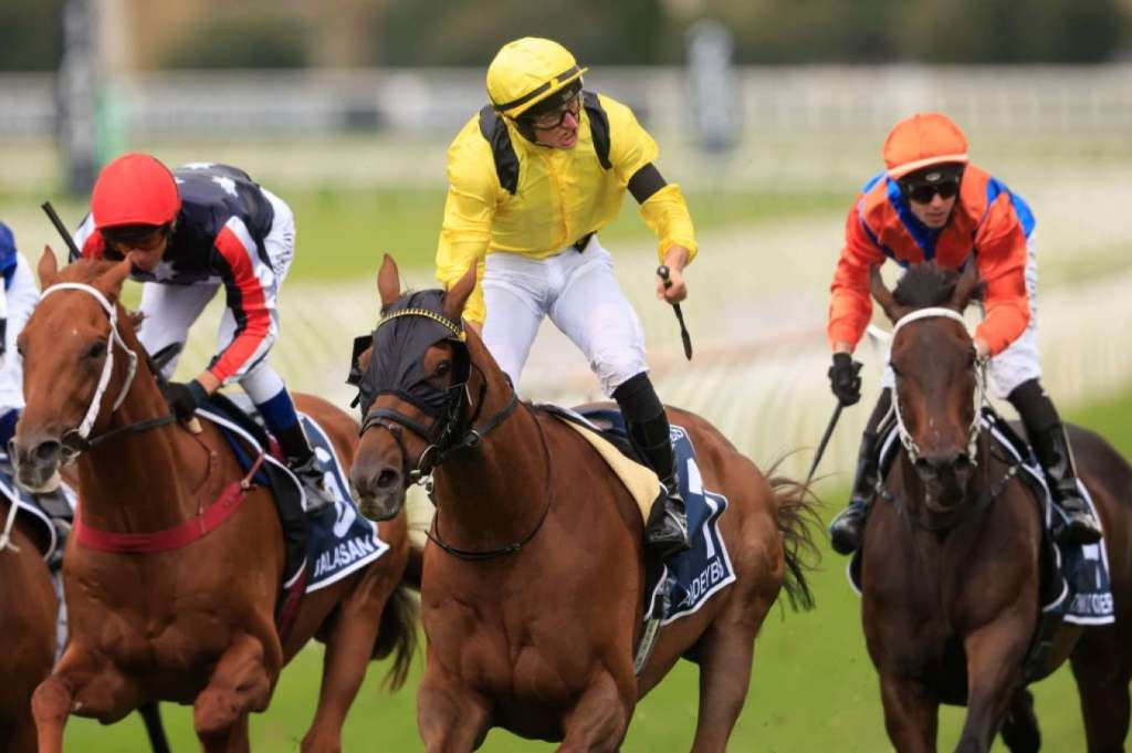 加踏步有望今夏復出