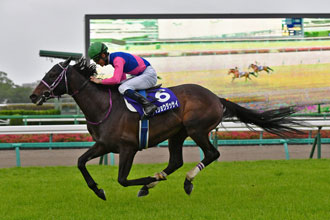 中山障礙大賽，長山之馬王朝結束，Meisho Dassai以大熱姿態順利接班