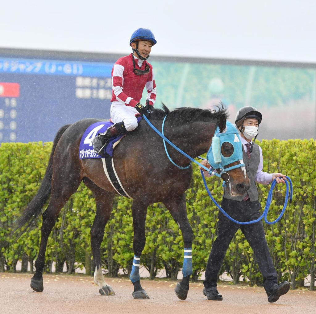 每日賽馬晚報（2022年11月17日），長山之馬舉行歡送儀式，皇僕子嗣在幼胎拍賣會受到各方活躍