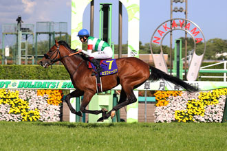 皐月賞，樂透心有望成雄馬新星