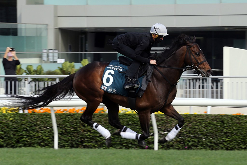 馬匹命名難上加難