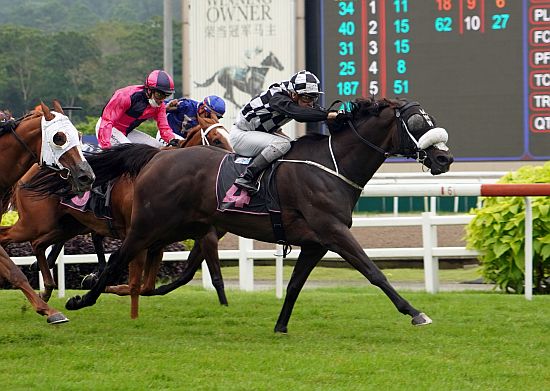 克蘭芝一哩賽,突破平凡表現今年五戰四勝聖十字