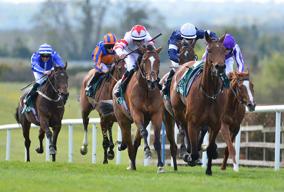 每日賽馬晚報（2021年4月26日），柏葛及范高爾成為殿堂名單，艾沙朗尼有意重返馬圈