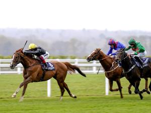 薩嘉羅錦標，弦樂器重返長途金盃四連霸亮綠燈