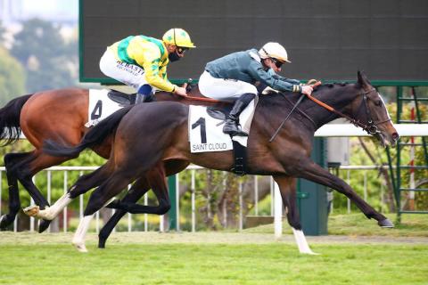 熟悉的英國馬?但在法國打吡中隨時伏兵重重