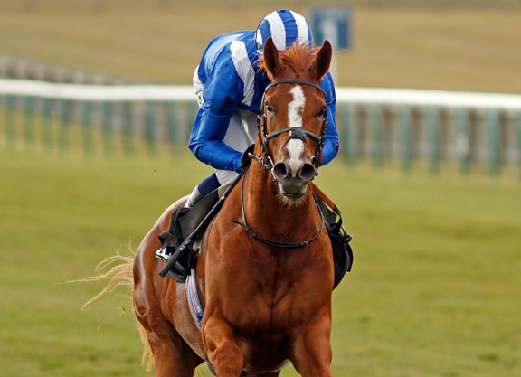 2021年6月5日葉森打吡大賽賽馬日推介(第三場及第七場有更改)