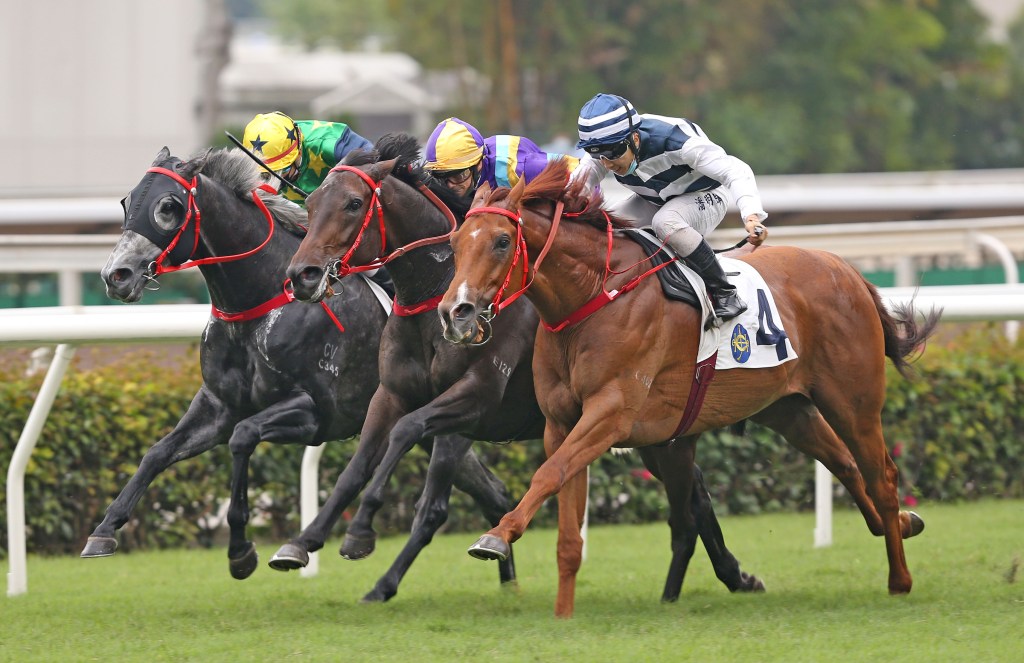 賽馬專題,增加獎金名次範圍,確保出賽馬匹數目