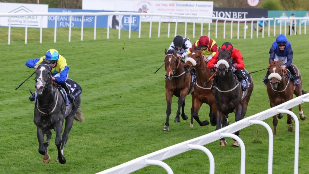 每日賽馬晚報(2021年5月4日), Nice Nature生日捐款爆標,來運耀星已定退役後配種費