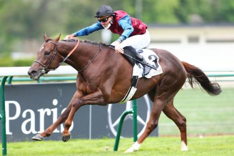 根利錦標,Mare Australis黑馬一放到底