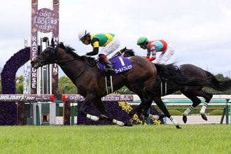 尚未在香港轉播賽出現之主要賽事