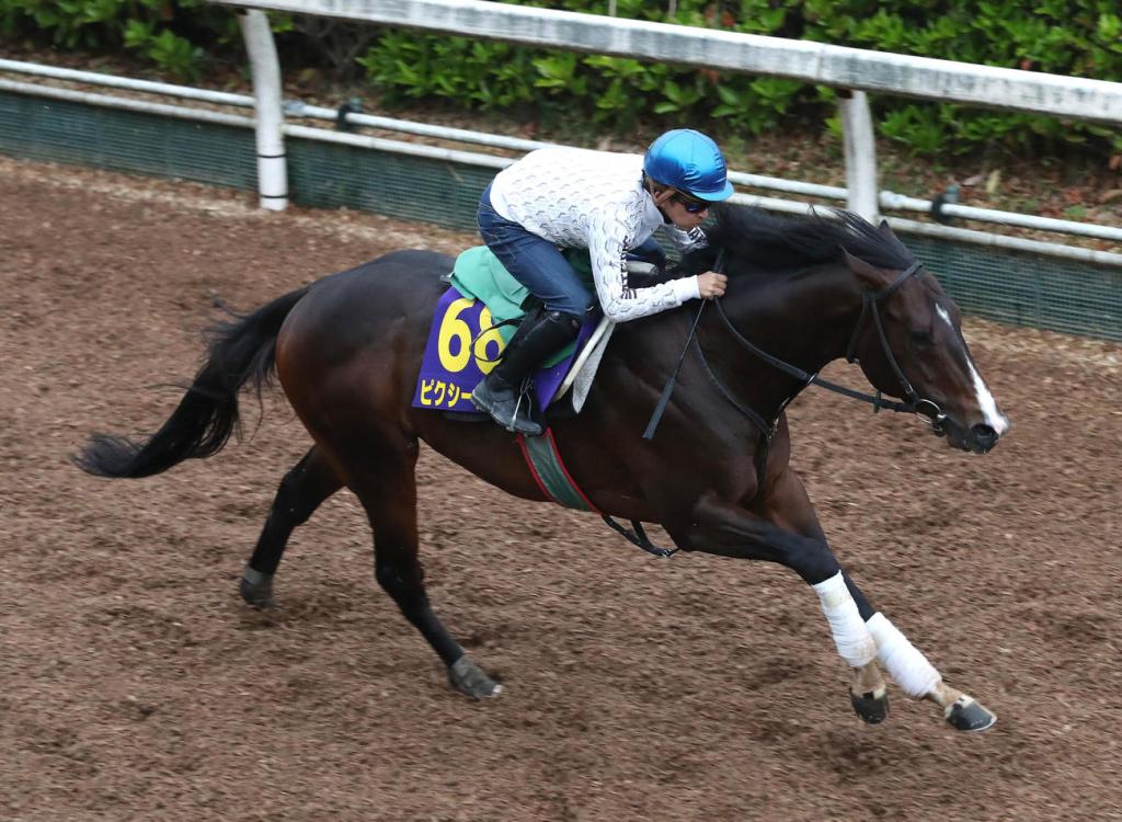 2021年5月9日NHK一哩賽賽馬日各場預測