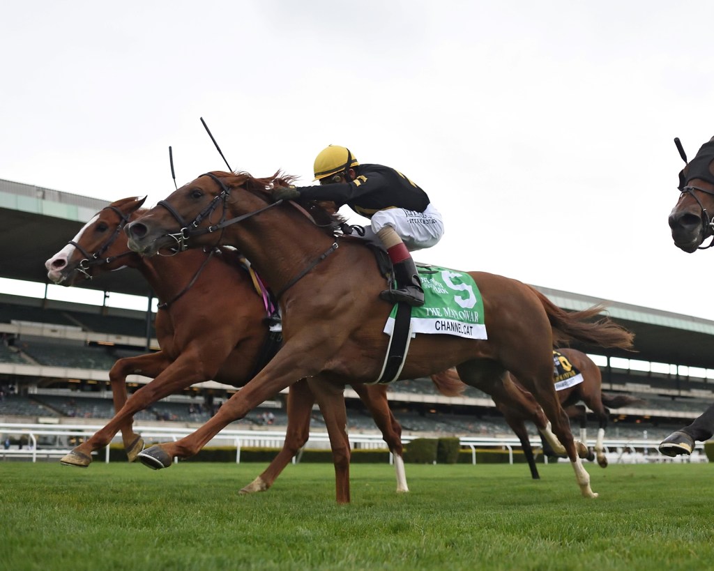 每日賽馬晚報（2021年5月9日），騎師證贏珠峰比冠軍騎師更爽，一國元首美國復出慘敗