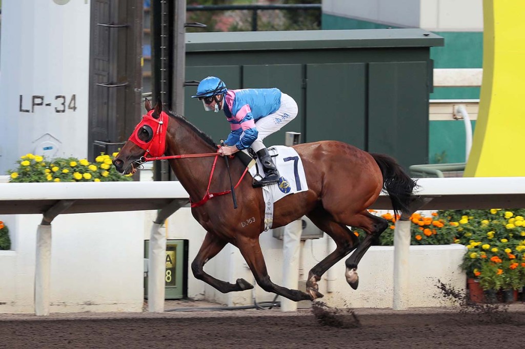 每日賽馬晚報(2021年5月8日),世界首映提早過一個超長暑假,香港新泥地王超霸神駒誕生