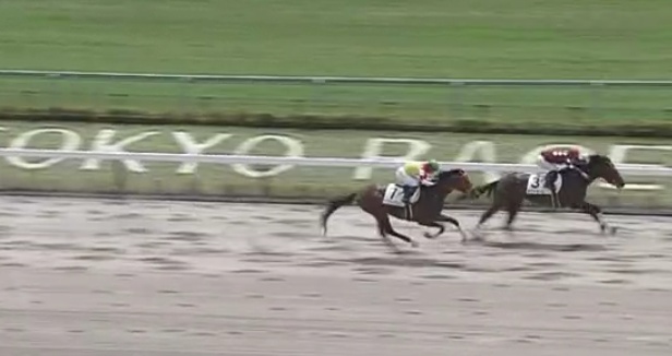 一匹只有三匹子嗣的種馬,在中央取下首勝