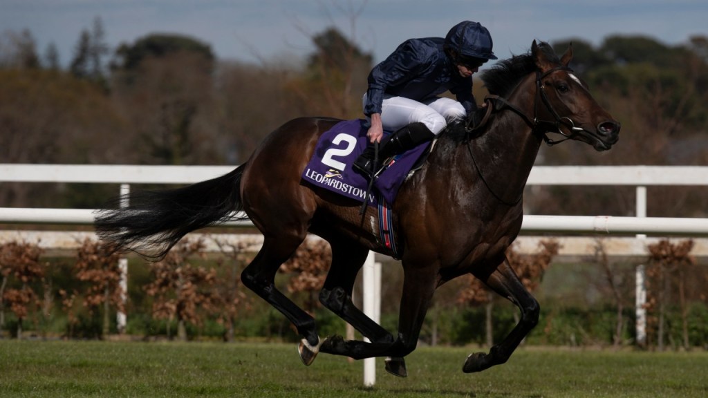 翩然舞姿成為岳伯仁唯一參戰馬，戴圖理轉騎以父而名