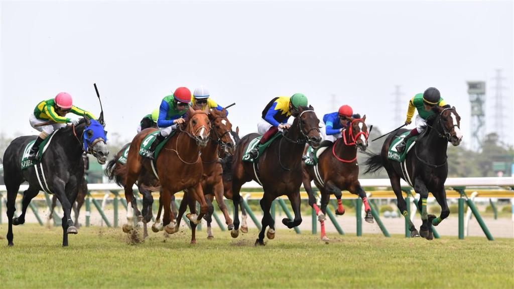 每日賽馬晚報（2022年2月18日）， 美國賽馬會中止執行「140條款」，山嶺寶穴苦惱一級賽未必入選