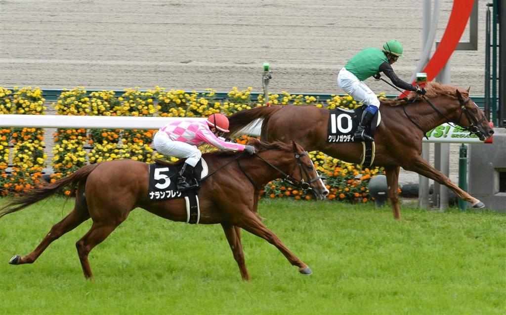 每日賽馬晚報（2021年5月10日），金鎗六十準備做三冠馬，波健士聆訊一生一死