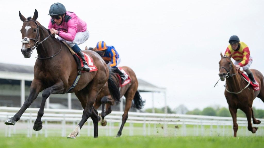 傳教團墨爾本盃最新任務