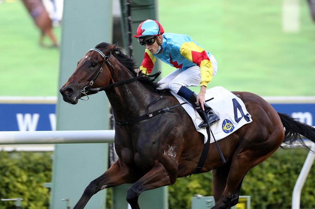 每日賽馬晚報（2022年1月20日），佳運財避戰四歲馬系列賽，金鎗六十週日力爭董事盃