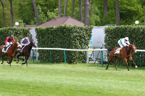 每日賽馬晚報（2021年5月18日），巴富達被紐約賽馬會下禁令，法國馬Suesa狙擊英聯邦盃