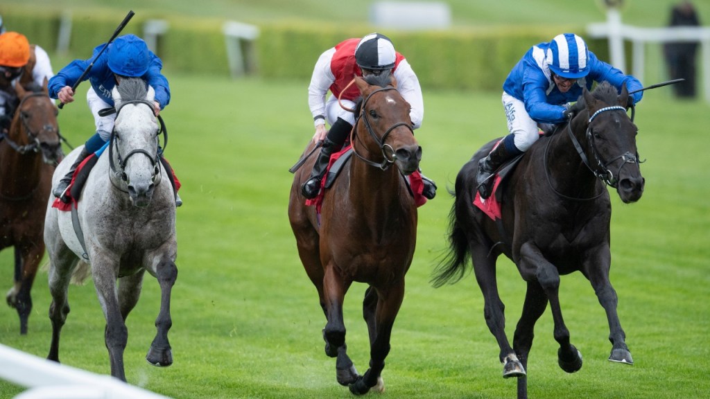 每日賽馬晚報(2021年5月21日),世界星級騎師大賽再告取消,阿帕奇貓已完全恢復