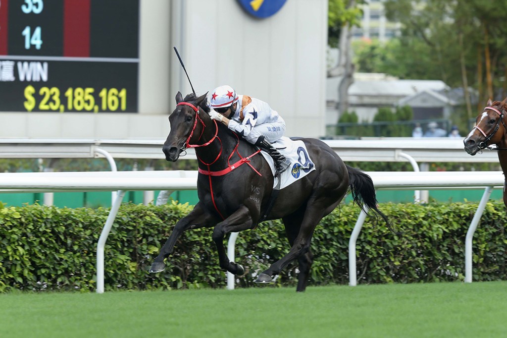 來自速遞奇兵的國際賽快遞