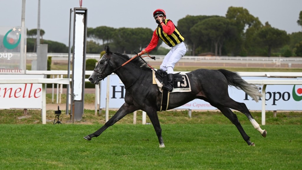 每日賽馬晚報（2021年5月24日），雍容爾雅棄凱旋門大賽，小林智Tokyo Gold勝出意大利打吡