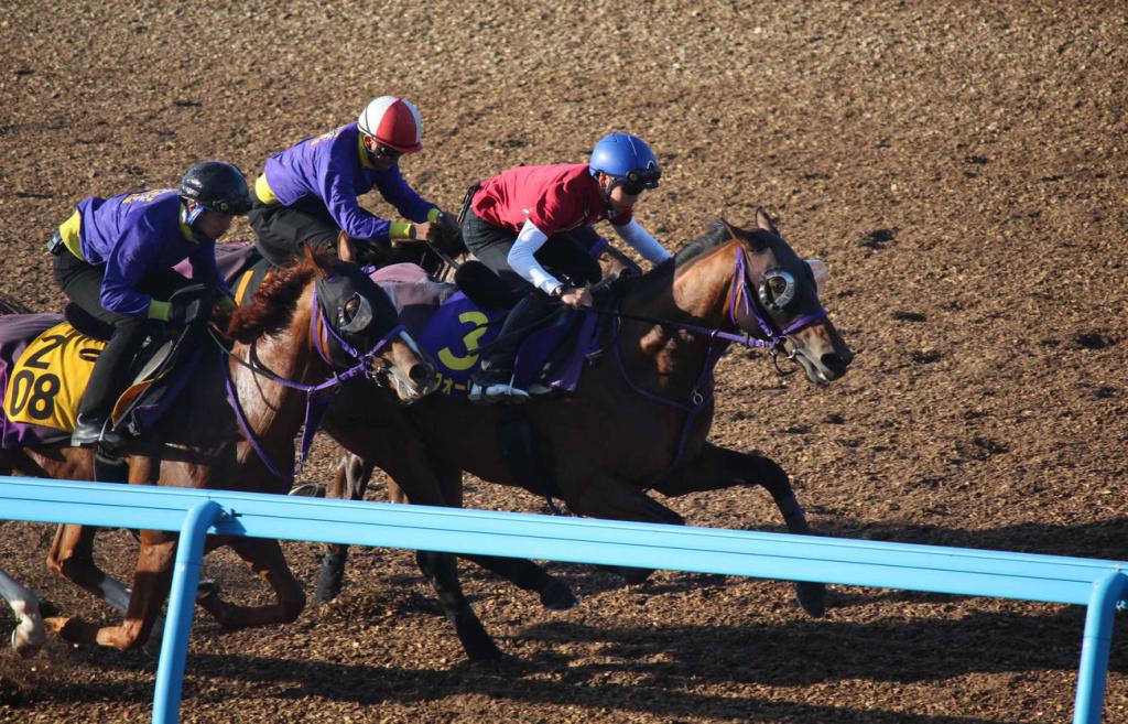 草地打吡經典決定戰(5),日本打吡壓軸篇,真的可以五連無傷連勝的樂透心?