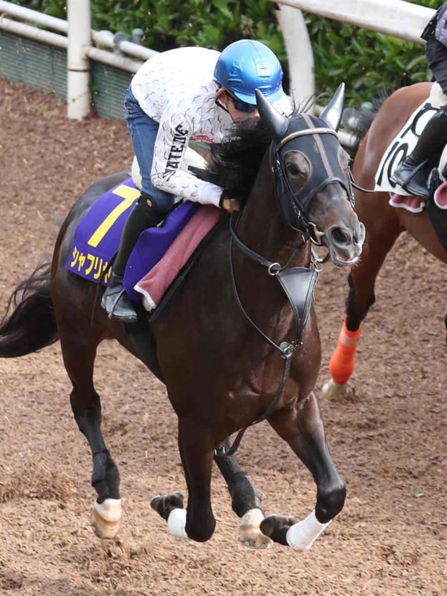 2021年5月30日賽馬日（10場田草B跑道）+日本打吡大賽推介（已更新）