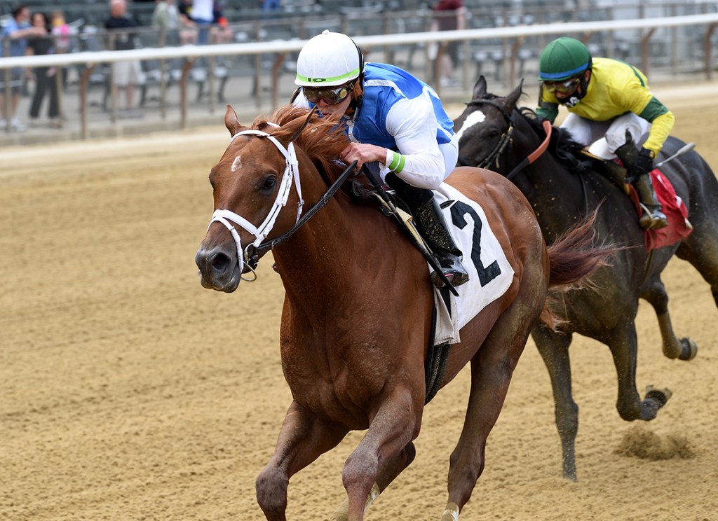 每日賽馬晚報（2021年5月29日），澳洲五駒遇交通意外身亡，澳門分級賽由打吡預賽開始