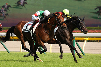 東京優駿，大帝最後殺退樂透心