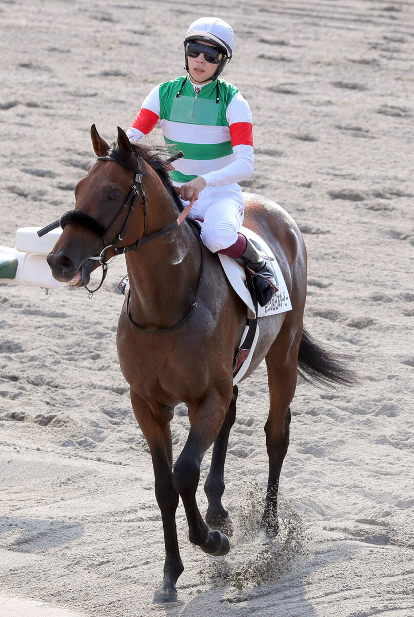 每日賽馬晚報(2021年6月1日),英法打吡報名馬最新情況,John Messara成澳洲賽馬和事佬?