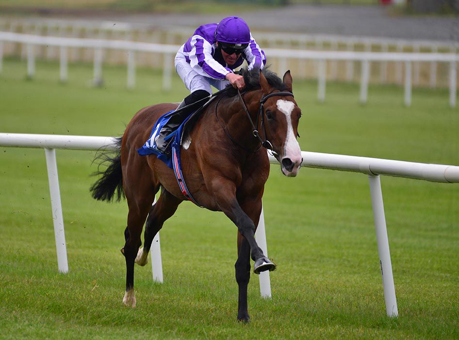 每日賽馬晚報（2021年6月3日），巴富達禁參加邱吉爾園賽事兩年，香港騎師來季牌照大勢已定