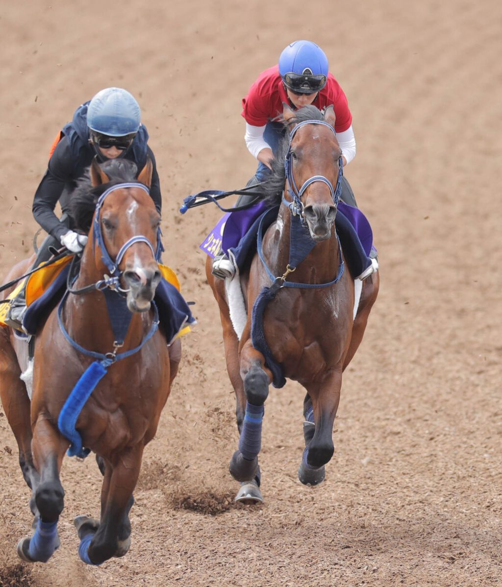 每日賽馬晚報(2021年6月2日),Tsaritsa成首匹確定交通意外離世馬匹,速度大師週由橫山武史策騎