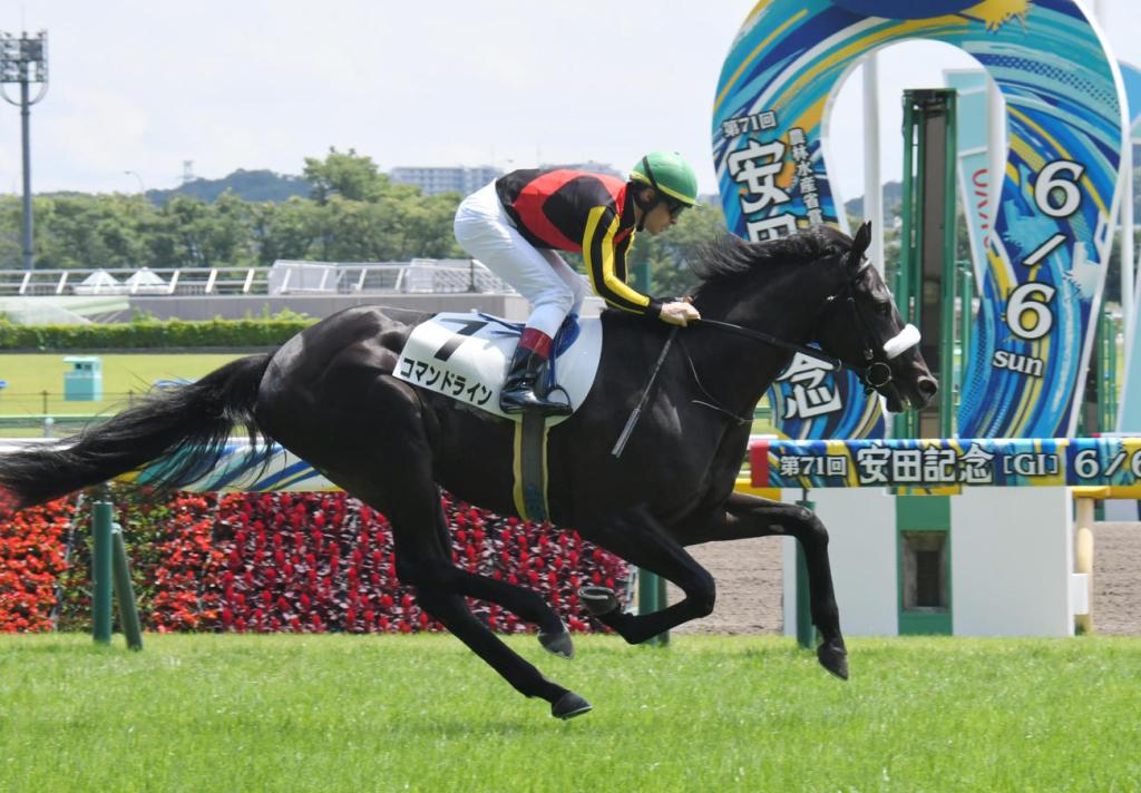 每日賽馬晚報（2021年6月5日），范高爾孫子取下勝利，日本初日新馬戰現2022年打吡爭標馬