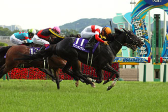 四駒日本馬確定獲邀參加香港國際賽事