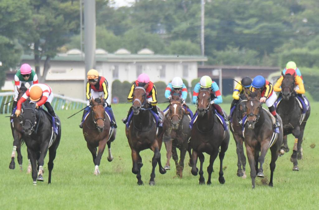 安田紀念賽，野田賢君神秘支持擊退放聲歡呼