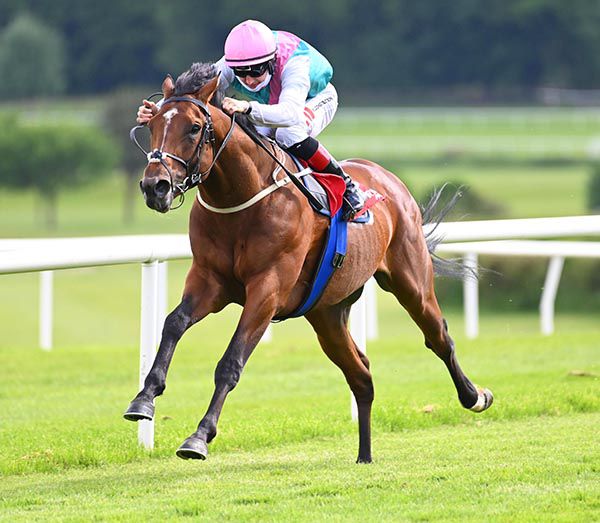 每日賽馬晚報（2021年6月9日），季內餘下香港賽馬日可及早預約，范高爾子嗣高運園初出狂掃對手