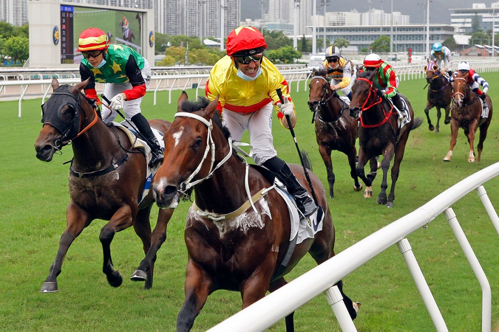 香港四歲馬系列賽開幕